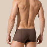 David Boxer Shorts (Brown)
