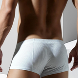 David Boxer Shorts (White)