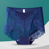Samantha Briefs (Navy Blue)