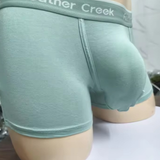 Brian Underwear (Turquoise)