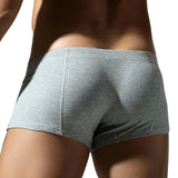 David Boxer Shorts (Gray)