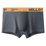 Liam Boxer Briefs